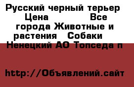 Русский черный терьер › Цена ­ 35 000 - Все города Животные и растения » Собаки   . Ненецкий АО,Топседа п.